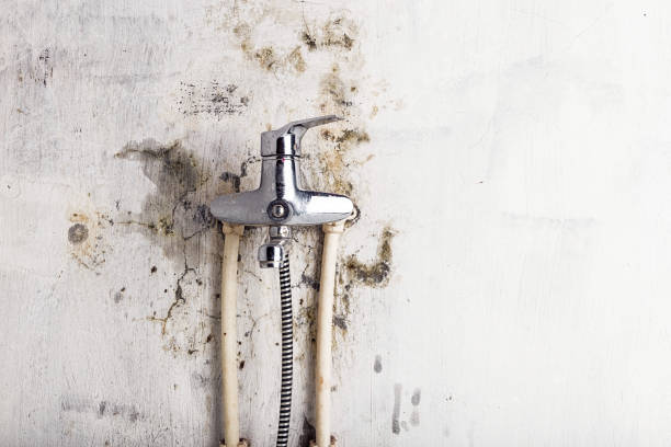 Best Mold Testing  in Conneaut, OH