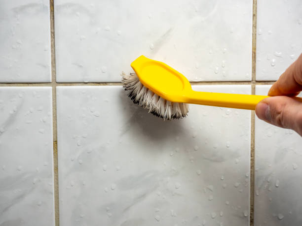 Best Mold Cleaning Services  in Conneaut, OH