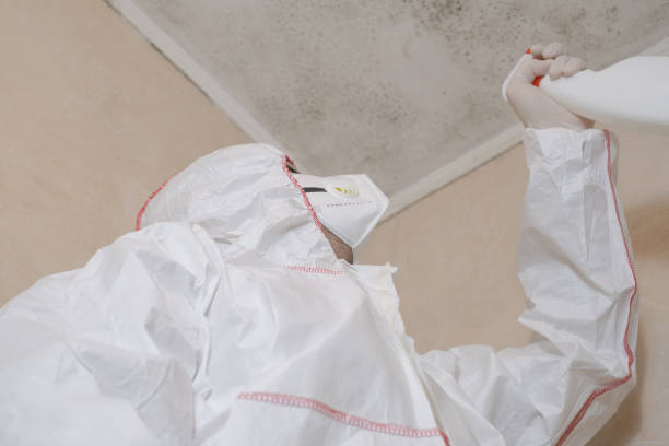 Best Toxic Mold Removal  in Conneaut, OH