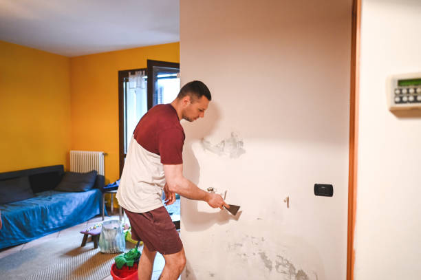 Mold Removal Process in Conneaut, OH