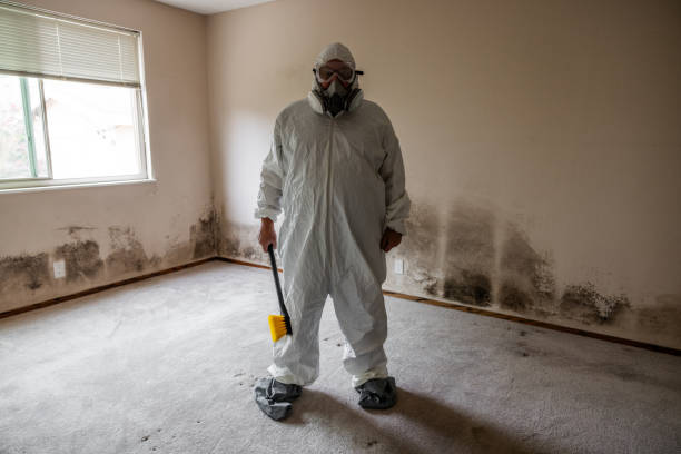 Best Crawl Space Mold Removal  in Conneaut, OH